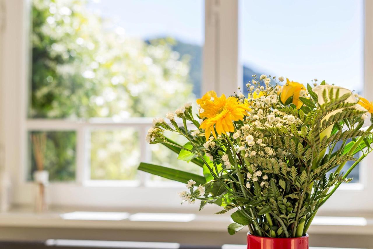 Garden Vista Lago Комо Экстерьер фото